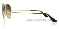 Ray Ban Aviator RB3025 001/51