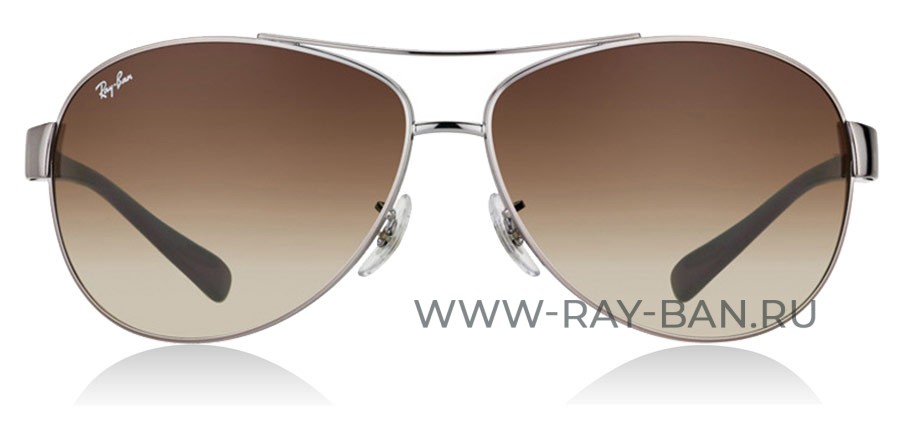 Ray Ban Active Lifestyle RB 3386 004/13