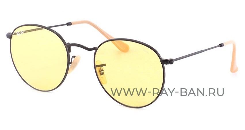 Ray Ban Round Metal Evolve RB3447 9066/4A
